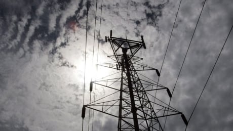 About 4,000 Nova Scotia Power customers in Digby, Pictou County and Cape Breton Regional Municipality had no electricity Christmas morning. Nova Scotia Power outages