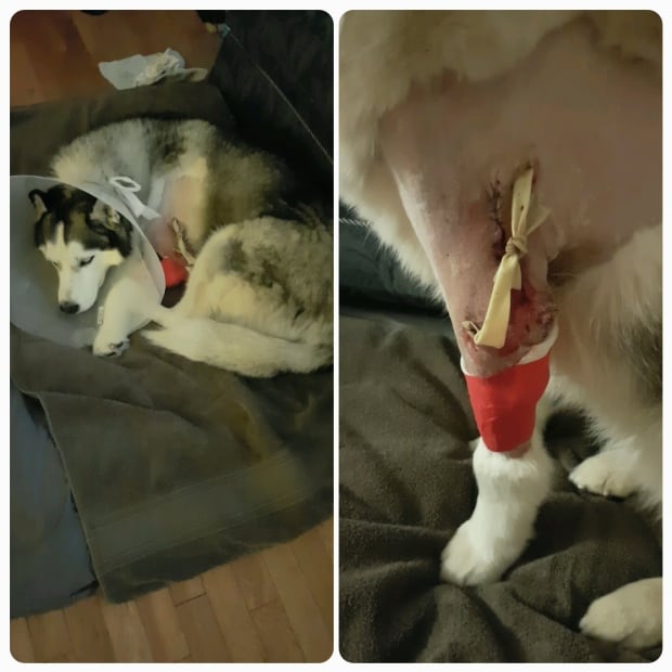 Mya's other wounds