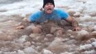 Polar Bear Dip 20170101