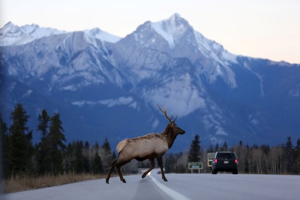 CANADA-PIPELINE/TRANSMOUNTAIN
