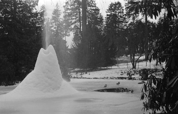 Duck pond fountain