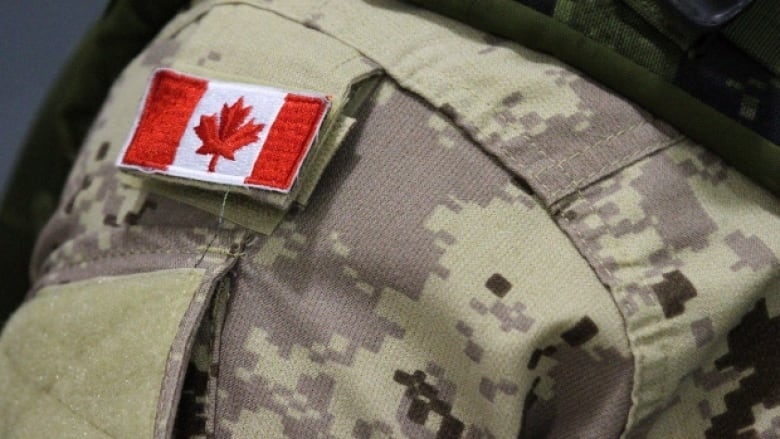 Liberal government to track veteran suicides as part of new prevention  strategy