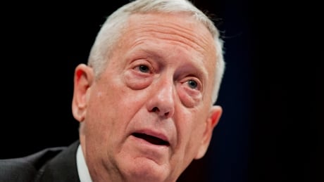 As recently as May 2015, James Mattis, tapped to head the Pentagon as secretary of defence, said that among world threats 'the most dangerous might be Russia.'
James Mattis