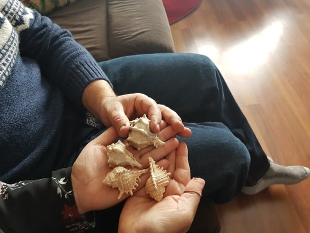 Tohmes' shells