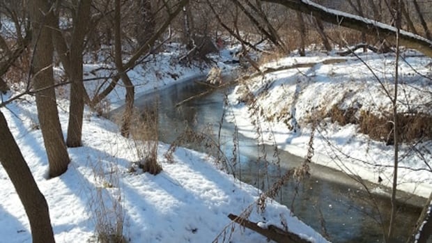 Ancaster Creek