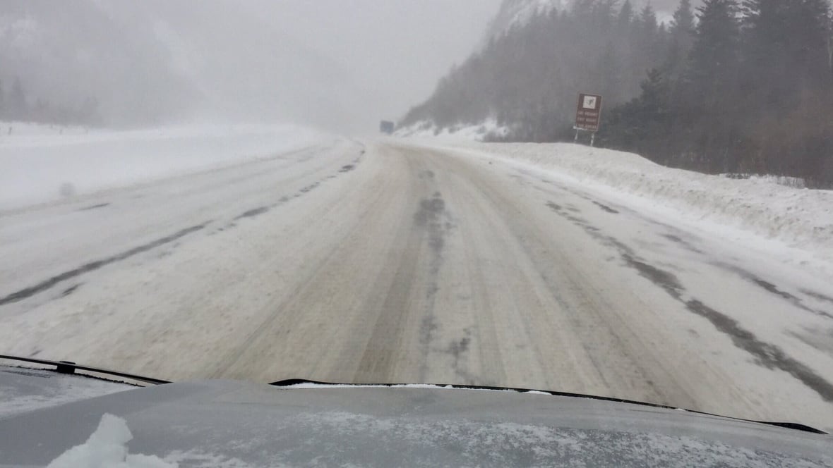 Winter weather wracks N.L. causing delays and poor road conditions