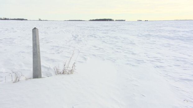 Emerson U.S. border marker in field
