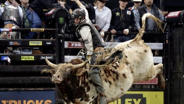 A man rides a bucking bull.