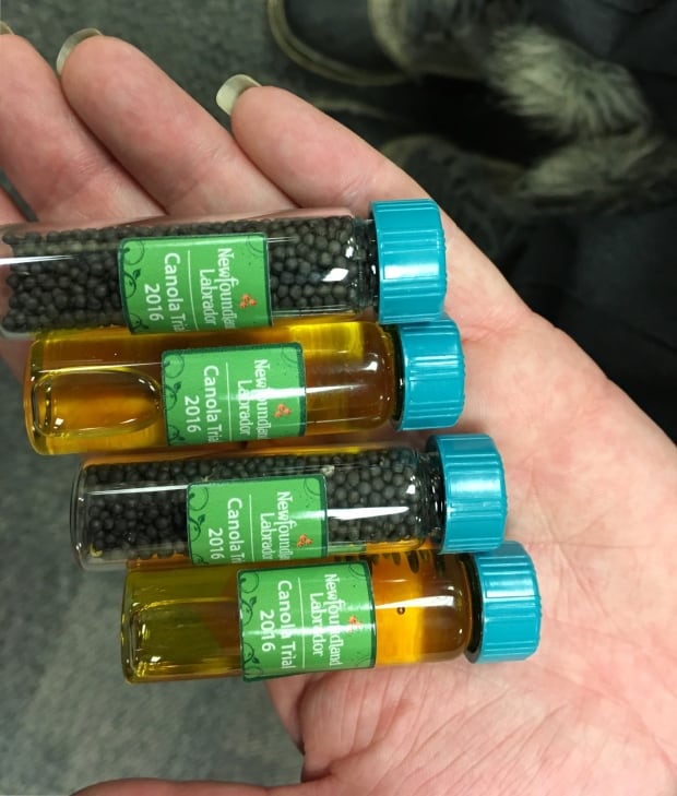 viles of canola oil