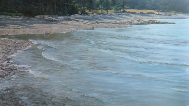 Robert Bateman Hornby Island