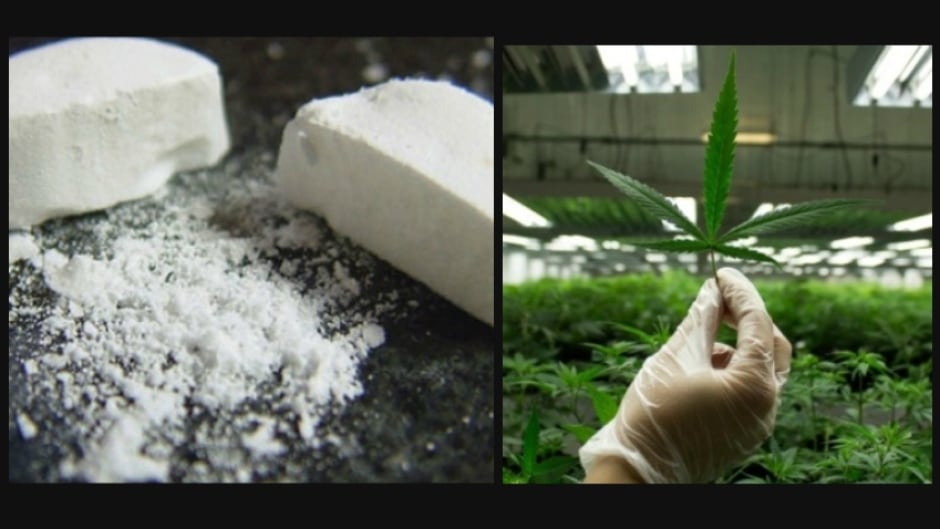 Some researchers believe medical marijuana could be an important tool in addressing the opioid crisis.