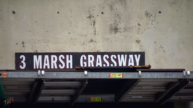 Toronto 3 Marsh Grass Way