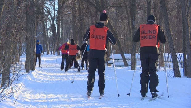 blind skier