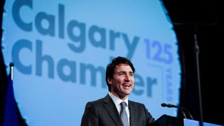 Prime Minister Justin Trudeau speaks to the Calgary Chamber of Commerce in Calgary, Alta., Wednesday, Dec. 21, 2016. Alta Trudeau 20161221
