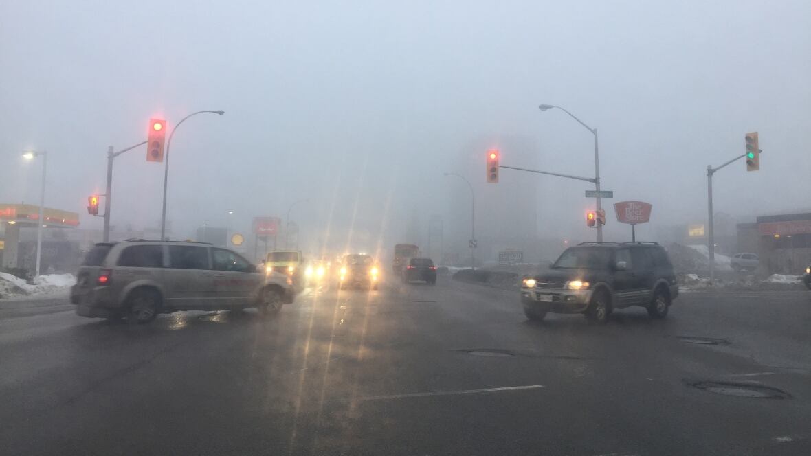 Unseasonably mild weather to persist in northwestern Ontario Thunder Bay CBC News