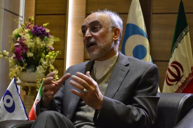 Salehi iran