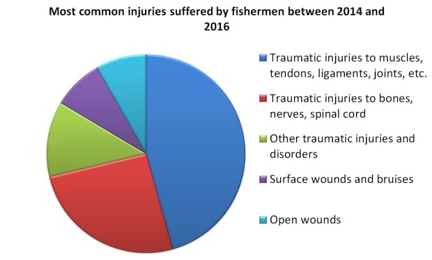 Pie chart of fisherman injuries