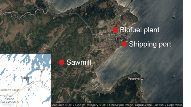 Botwood biofuel