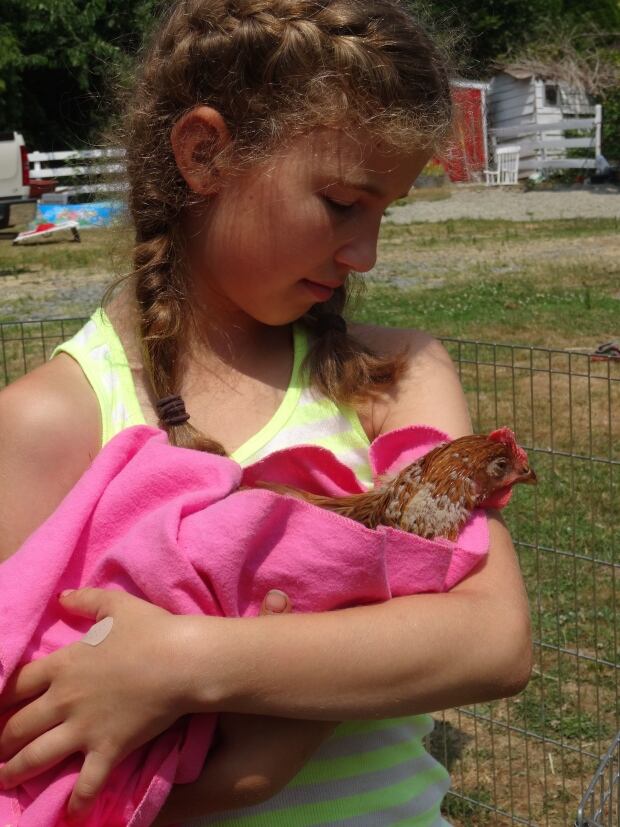 SALI's-Rooster-Louise-Volunteer