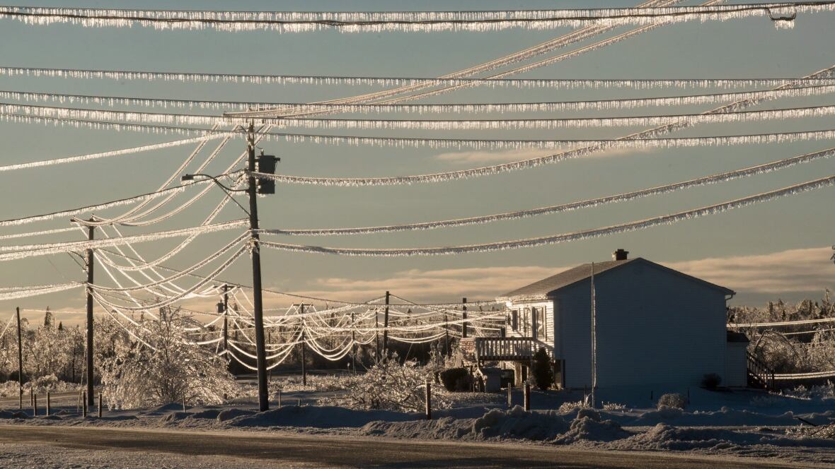 New Brunswick weather Milder temperatures as 21,000 remain without power New Brunswick CBC News
