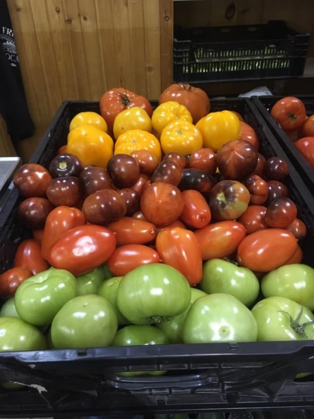 Schurman greenhouse tomatoes
