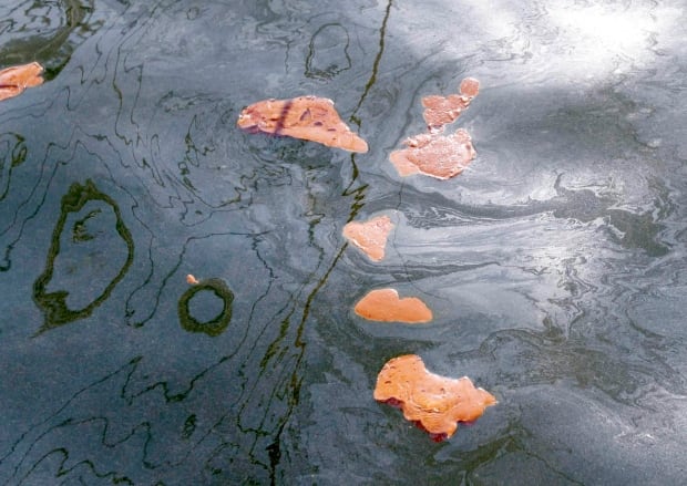Gulf Oil Spill Dispersant