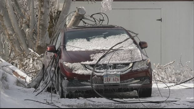 nb-tracadie-car