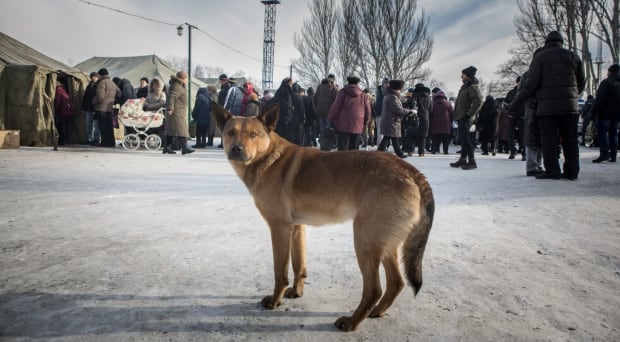 Avdiivka5