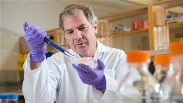 Dr. Gary Kobinger