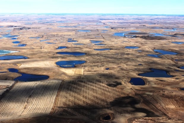 Prairie Potholes