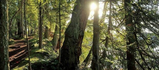 Galiano Island