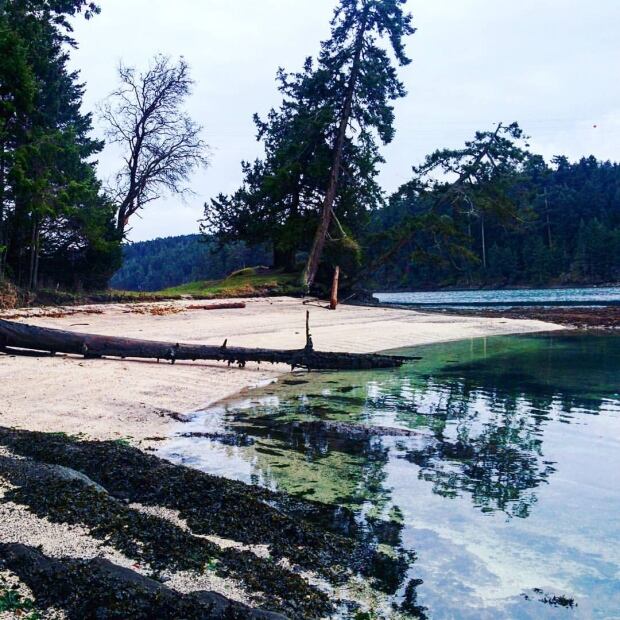 Montague Harbour