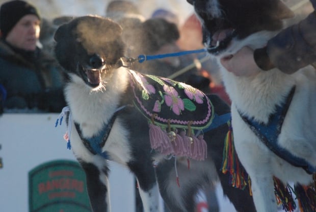Yukon-Quest-Dog-Blanket