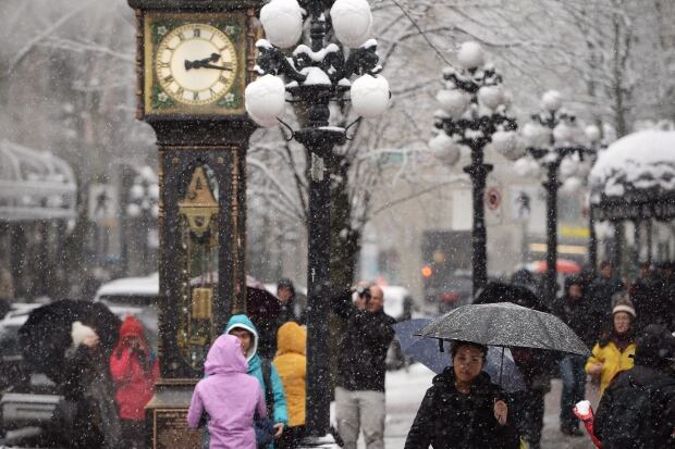 Snow in Vancouver 20170203
