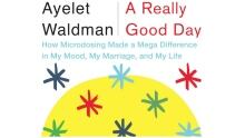A Really Good Day - Ayelet Waldman