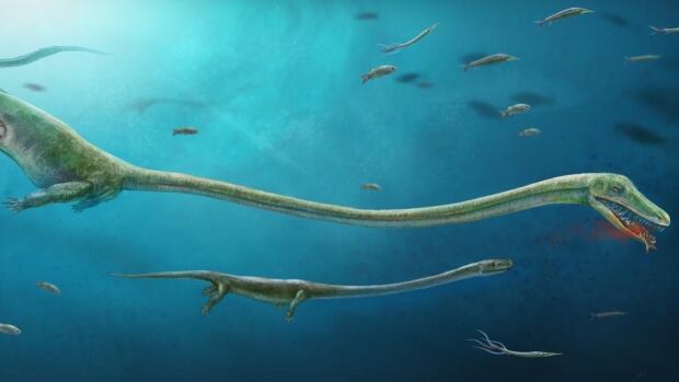 Ancient 'mammal-like' reptile discovered in China