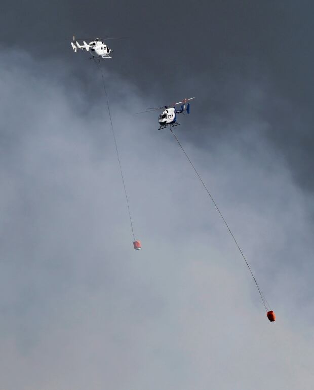 New Zealand Wild Fire