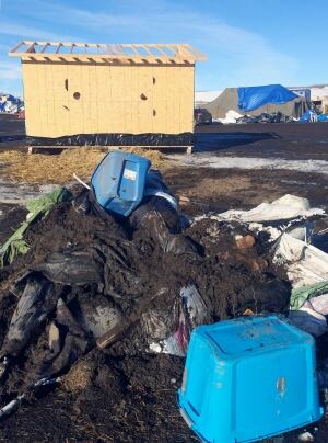 Oil Pipeline Protest