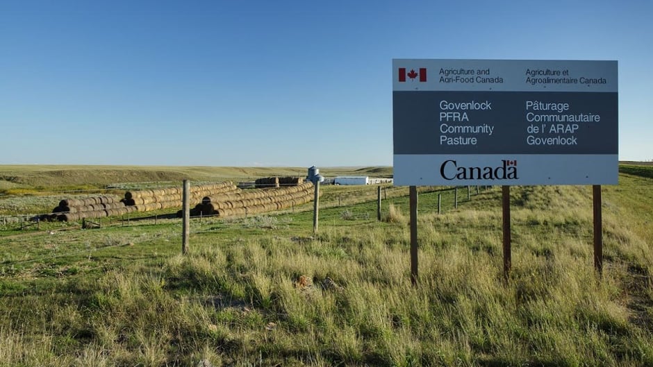 In 1935, the federal government employed pasture managers — essentially cowboys — to protect native grasses, monitor grazing, address erosion, track down invasive species and manage water.