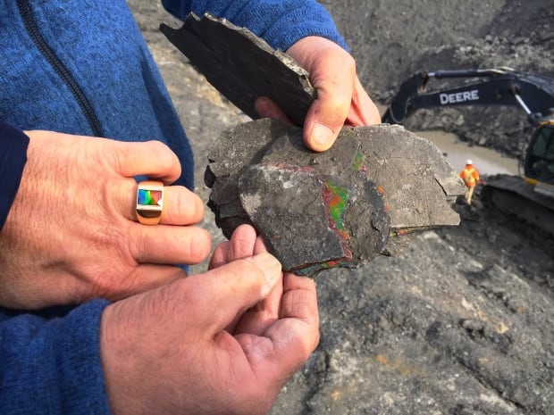 ammolite mine