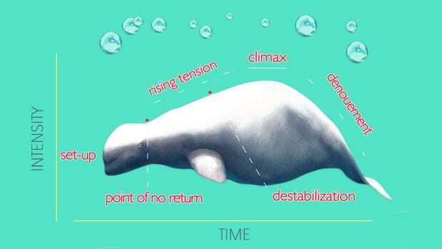 Story structure - whale