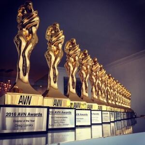16 AVN awards in 2016