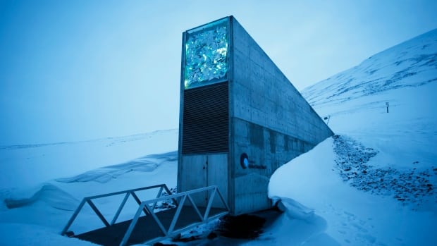 Scientists add 50000 seeds to doomsday-proof vault in Norway Scientists add 50000 seeds to doomsday-proof vault in Norway