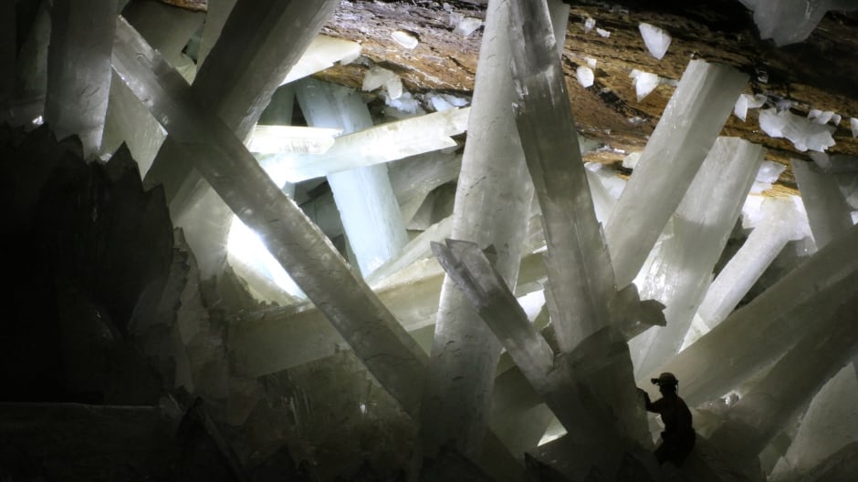 The Cave of Crystals in Naica, Mexico are the site of a bizarre discovery. Scientists have identified ancient microbes trapped in the crystals that they estimate could be 50,000 years old.