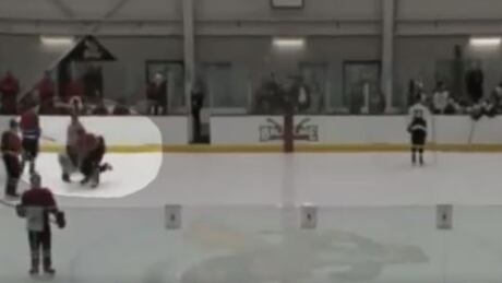 Erie Community College freshman Brandon Day went after the referee with 39 seconds left. college-hockey-ref