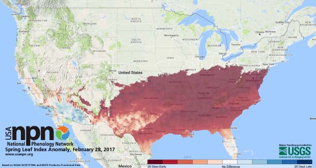 Spring leaf index anomaly