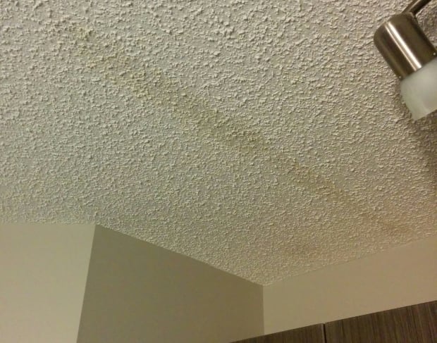 Luiz Faraz water damage
