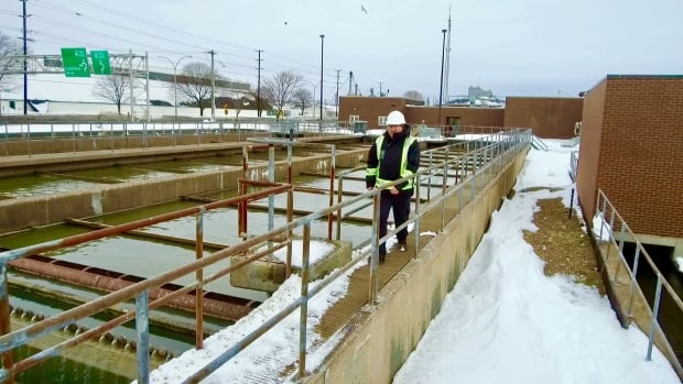Steven Stewart walking along the treatment ponds