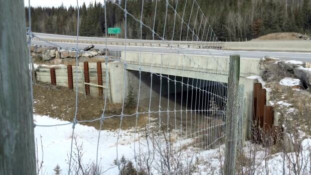 Trans-Canada Highway fencing