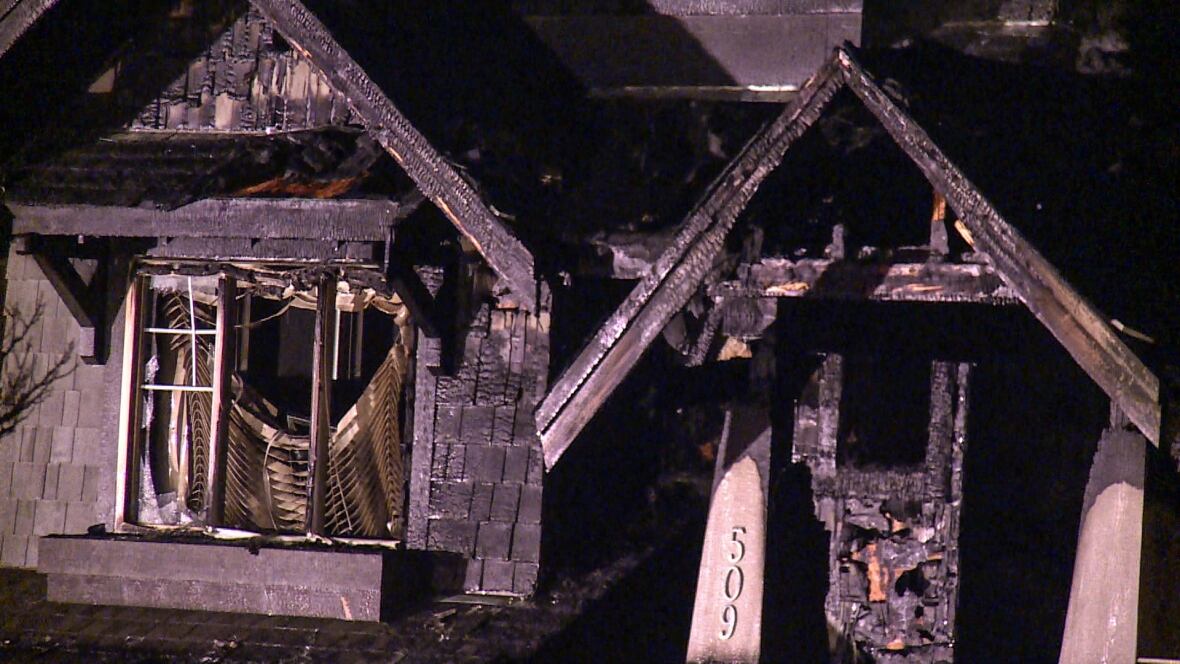 Port Moody firefighters rescue dog from house fire CBC News